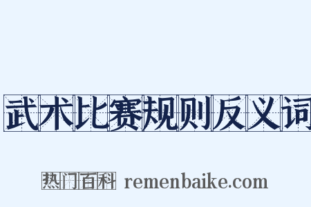 武术比赛规则反义词是什么意思的图片